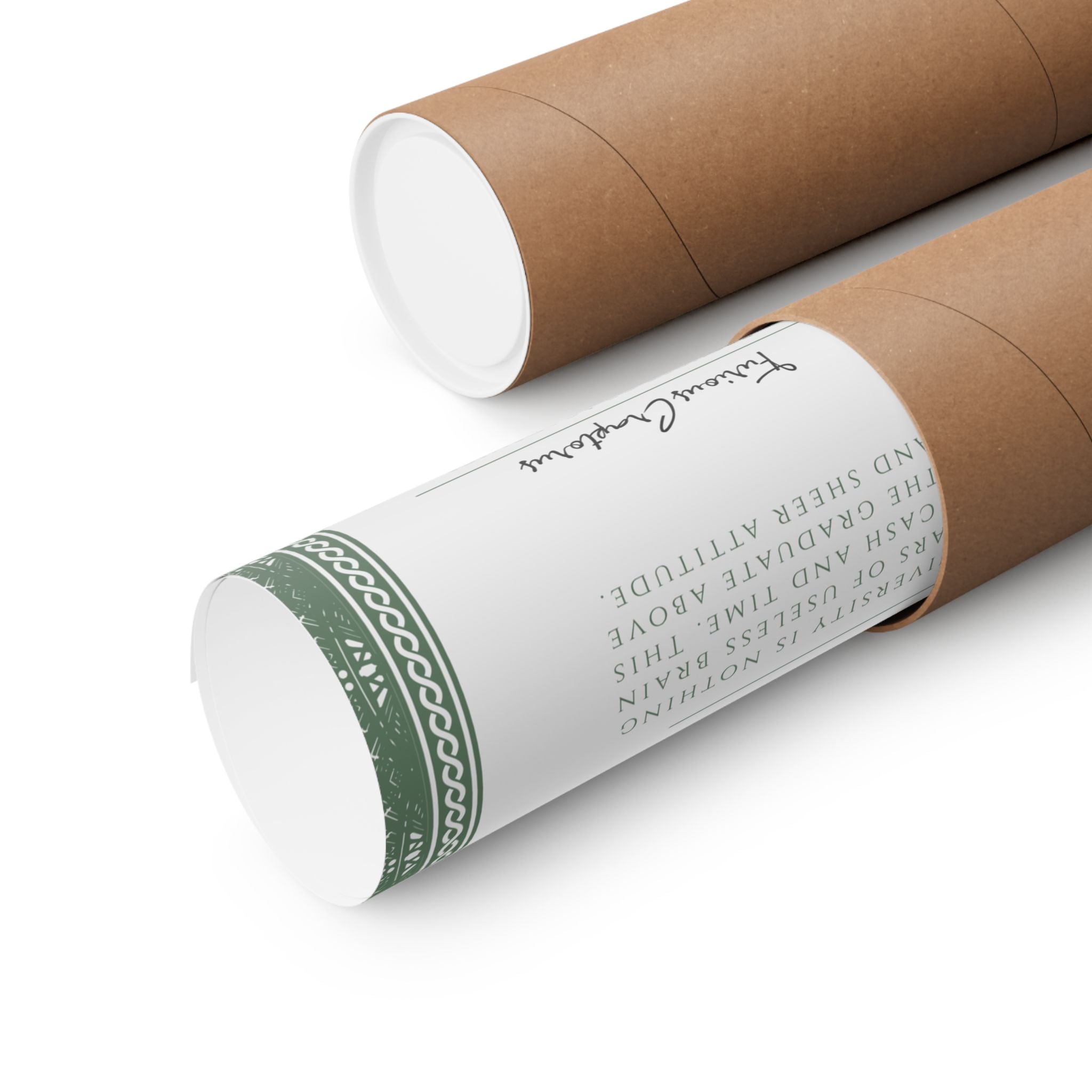 University of IDONTGIVEACRAP Bachelor's Degree