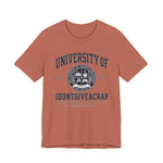 T‑Shirt — “University of IDONTGIVEACRAP” Vintage Collegiate Tee