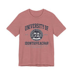 T‑Shirt — “University of IDONTGIVEACRAP” Vintage Collegiate Tee